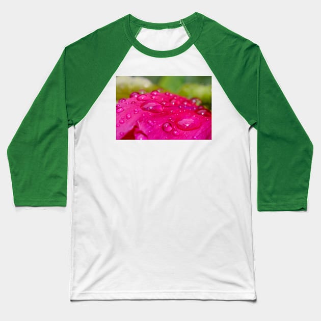 Raindrops on Petals. Flower Photography Baseball T-Shirt by love-fi